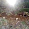 2007.04.01. - Samothraki